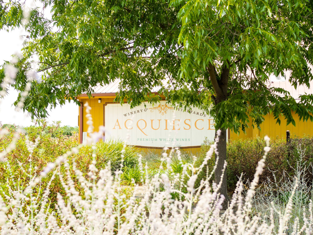 Wine tasting at Acquiesce Winery in Lodi, California