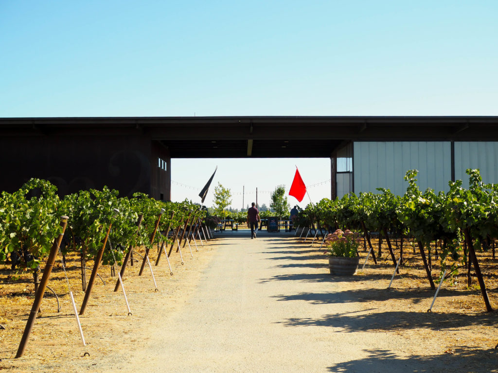 Wine tasting at m2 Wines in Lodi, California
