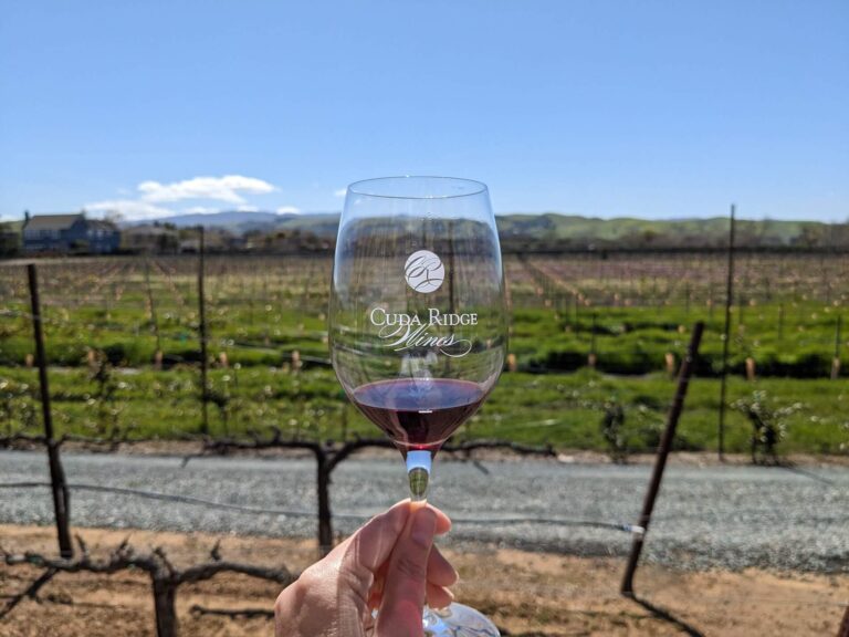 Livermore Valley Wine Country Guide: Best Wineries & Where to Eat for an Easy Bay Area Wine Escape