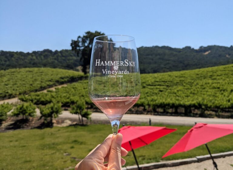 Paso Robles Bachelorette Weekend Itinerary: The Perfect Girls’ Wine Country Getaway!
